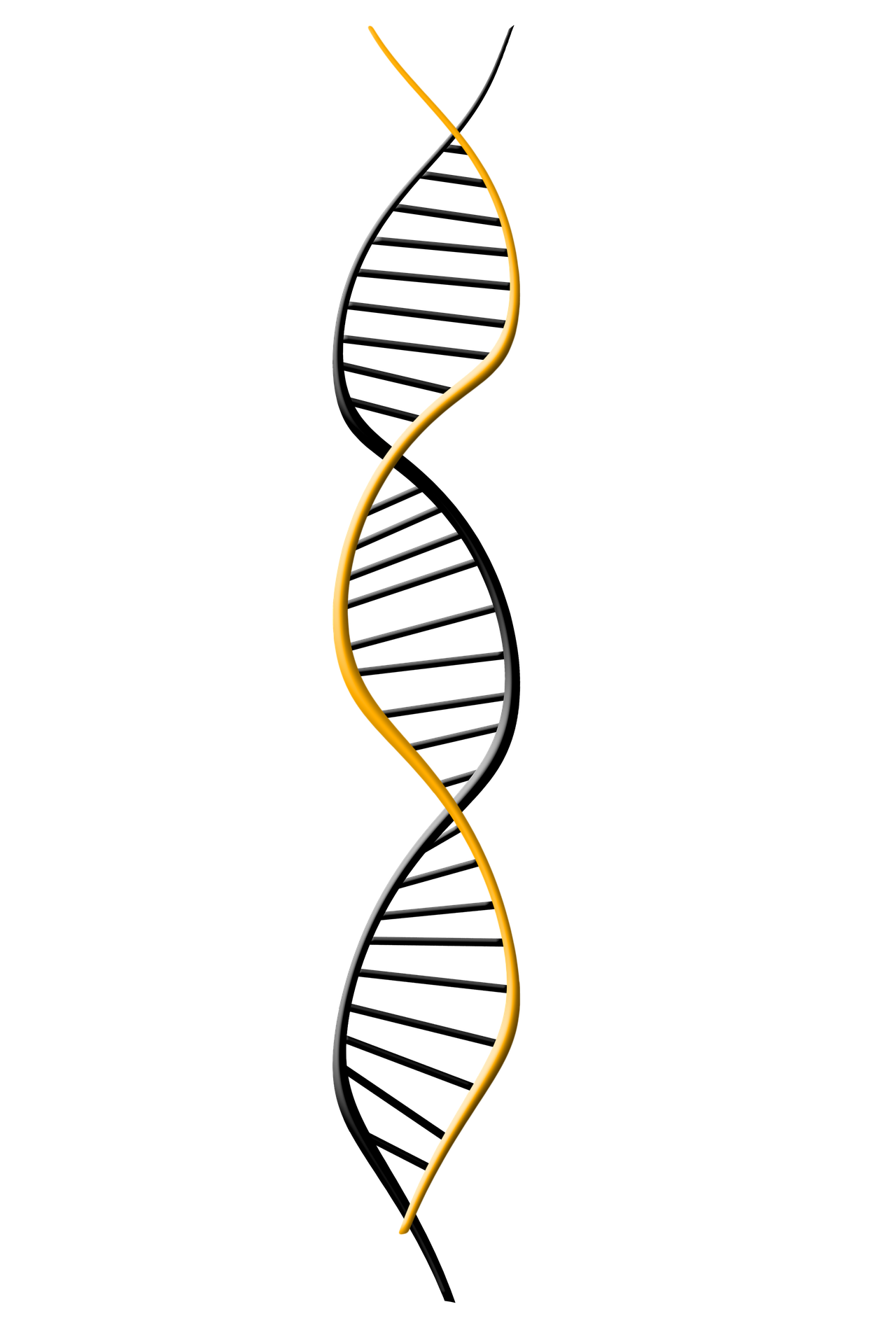 dna-1500067_1920